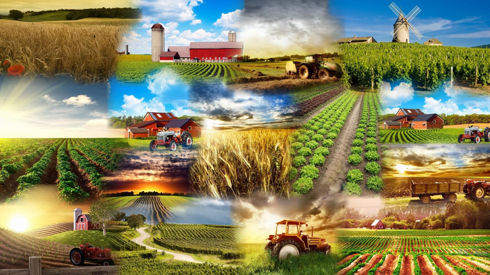 Credito agricolo